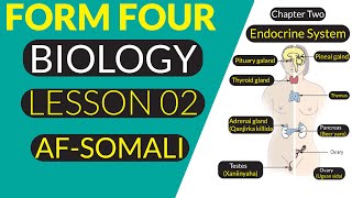 FORM FOUR  BIOLOGY  HORMONES  AFSOMALI [upl. by Johm]