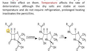BLactams part 2 penicillins [upl. by Aronek]