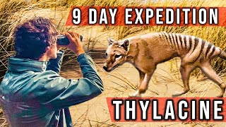 Expedition to Find The Tasmanian Tiger Thylacine [upl. by Anirtap689]