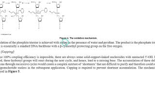 Oligonucleotide synthesis URDU [upl. by Nanaek]