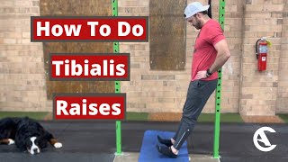 Tibialis Raises [upl. by Steven872]