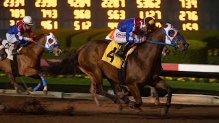 Preview Show  P6 Carryover on June 8 [upl. by Crenshaw]