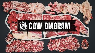 A Visual Guide to the Cuts of a Cow Where Every Beef Cut Comes From  By The Bearded Butchers [upl. by Delgado]