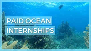 6 PAID Marine Biology Internships for Undergraduates  Paid Biology Internships [upl. by Ario]