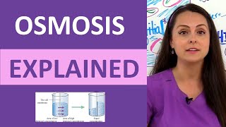 Osmosis Explained Solutes and Osmolarity  What is Osmosis Nursing School Review NCLEX [upl. by Zuckerman]