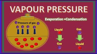 Vapour Pressure Animation  Definition  Examples amp Factors affecting Vapour Pressure  Chemistry [upl. by Ymmas]