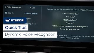 Quick Tips Dynamic Voice Recognition  Bluelink [upl. by Eniar364]