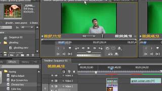 green screen in Premiere CS4 [upl. by Wandis445]