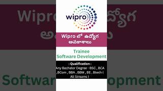 Wipro Careers Software Trainee ఉద్యోగ అవకాశాలు  Any Bachelor  Master Degree jobs wipro [upl. by Ojeibbob619]