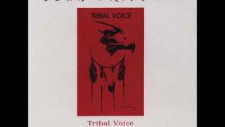 5  The Cleansing Red Earth Song  John Trudell  Tribal Voiceswmv [upl. by Ahsrop]