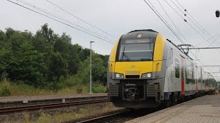 Rit Zonhoven  Hasselt MS08  L 4411 [upl. by Danya]