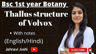 Volvox Thallus Structure NotesBsc 1st year Botany [upl. by Kalikow]