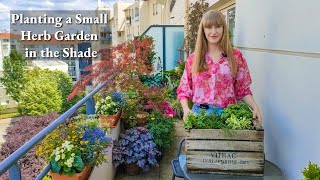 Which Herbs Can You Plant In The Shade  Growing Tips [upl. by Ahtiekal]