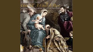 Propers For The Nativity Gradual Viderunt Omnes  Alleluia Dies Sanctificatus [upl. by Gaither108]