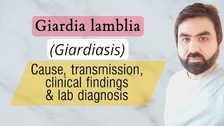 Lec4  Giardia lambliaIntestinalis  Transmission  Pathogenesis  Lab diagnosis  urduHindi [upl. by Kinsman]