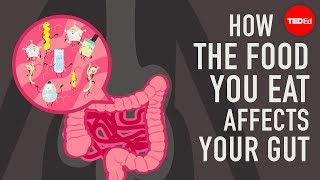 How the food you eat affects your gut  Shilpa Ravella [upl. by Anselmi781]