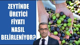 CANLI Zeytinde Üretici Fiyatı Nasıl Belirleniyor  İbrahim Oğuz  AGRO Ekonomi [upl. by Adnolaj]