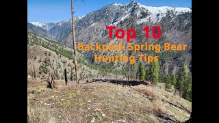 Top 10 Backpack Spring Bear Hunting Tips [upl. by Lorri893]