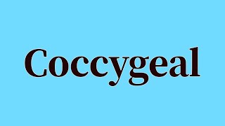 Coccygeal Pronunciation and Meaning [upl. by Sheryle501]