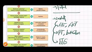 Fulminant Hepatic Failure MED1 41 [upl. by Anniram]