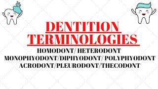 Homodont  Heterodont  Acrodont  Thecodont  Pleurodont  Monophyodont  Diphyodont  Polyphyodont [upl. by Arick743]