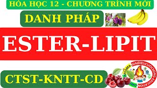 HÓA 12 MỚI  ESTER  LIPIT  GỌI TÊN CÁC CHẤT TRONG SGK CTSTKNTTCÁNH DIỀU CHƯƠNG TRÌNH MỚI [upl. by O'Reilly387]