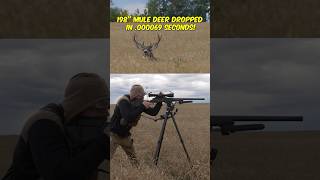 198” Mule Deer Dropped in 000069 Seconds [upl. by Nabois]