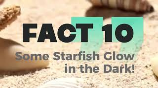 quotStarfish Facts How These Creatures Live Without a Brain or Bloodquot [upl. by Coniah]