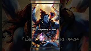 shiv rudrashtakam 🕉 namami shamishan 🙏 part2 [upl. by Ayotl553]