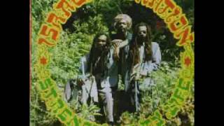 Israel Vibration  False Pretense [upl. by Agiaf]