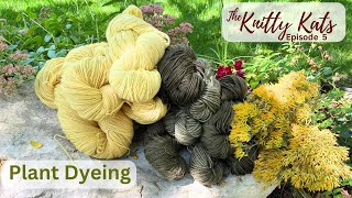 Plant DyeingNaturally Episode 5 [upl. by Novelia699]