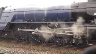 Steam Locomotives in action [upl. by Anaiq]