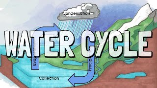 The Water Cycle [upl. by Agle]