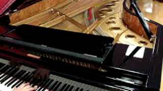 FAZIOLI F 308 CONCERT GRAND PIANO [upl. by Eniamret836]