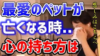 【ひろゆき】※最愛のペットが亡くなる時※どうしようもない気持ちや心を安定させるには●●です。独りにならないで下さい！ペットロス【切り抜き】 [upl. by Alithea]