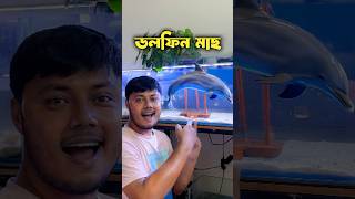 অ্যাকোয়ারিয়ামে একটি ডলফিনের বাচ্চা বড় করেছি ornofpets [upl. by Terza]