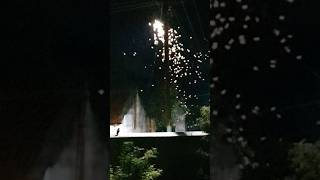 🦗ஈசல் சாப்பிடும்🦉ஆந்தைகள்  owl eats white ants  shorts tamil தமிழ் owl ants flies nature [upl. by Terraj]