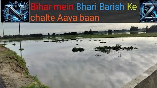 Bihar Mein Bhari Barish Ke Chalte Gaon Mein Aaya Ban Sabko Kar Diya Gaya Hai Alert 🚨 [upl. by Hanahsuar]