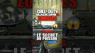 Le SECRET du Poisson sur la Carte TERMINUS du Zombies de Call of Duty Black Ops 6  TUTO [upl. by Brendan65]