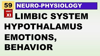 Ch59 Physiology Guyton  Limbic System amp Hypothalamus  Physiology Lectures [upl. by Sirromal]