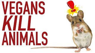 Do Vegans Kill More Animals Than Meat Eaters [upl. by Auoz]