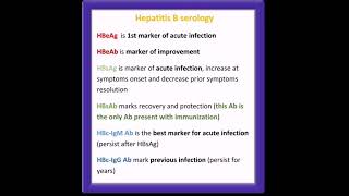 Hepatitis B virus serology [upl. by Issi722]