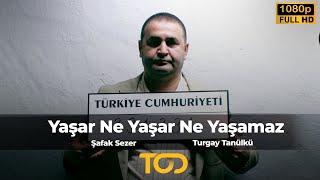 Yaşar Ne Yaşar Ne Yaşamaz 2008  Şafak Sezer  Turgay Tanülkü  Tarık Mengüç [upl. by Pleasant]