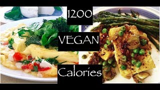 1200 Vegan Calories a Day  Vegan Weight Loss [upl. by Airetnahs]