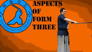 Aspects of Form 3  Haidong Gumdo Forms [upl. by Fink]