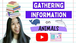 Informative Writing for Kids  1 Gathering Information for Animal Reports [upl. by Carree]