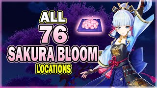 All 76 Sakura Bloom Locations  Efficient Farming Route  Ayaka Ascension Material  Genshin Impact [upl. by Newol]