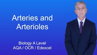 A Level Biology Revision quotArteries and Arteriolesquot [upl. by Arenahs]