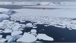 Raw Nature Of Antarctica [upl. by Serrell503]