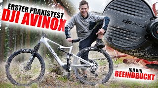 DJI AVINOX auf Trails  Beeindruckendes neues EBike System [upl. by Nahum151]